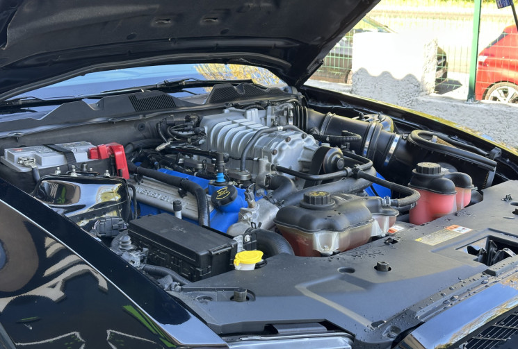 Ford MUSTANG SHELBY GT 500 Pack SVT 5.4 V8 550 ch Bloc Alu / Immat France / Echappement Borla