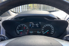 Ford Transit Connect Fourgon 1.0 E 100 E85 Ethanol Trend Business