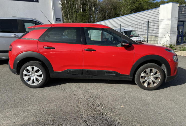 Citroën C4 CACTUS Phase 2 1.2 PureTech S&S 110 CV LIVE