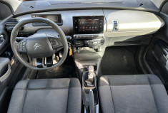 Citroën C4 CACTUS Phase 2 1.2 PureTech S&S 110 CV LIVE