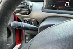 Citroën C4 CACTUS Phase 2 1.2 PureTech S&S 110 CV LIVE