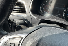 Ford S-MAX II 2.0 EcoBlue 16V S&S 150 CV BVA8 TITANIUM