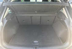 Volkswagen Tiguan  Volkswagen Tiguan