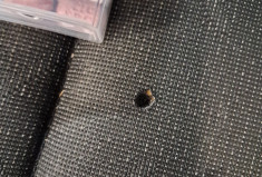 Volkswagen Golf VIII 1.5 TSI ACT 130 Life Business 1st- SUIVI ENTRETIEN VW - 