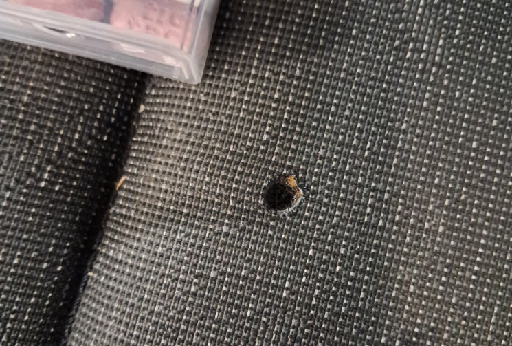 Volkswagen Golf VIII 1.5 TSI ACT 130 Life Business 1st- SUIVI ENTRETIEN VW - 