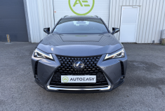 Lexus UX 300E Luxe 
