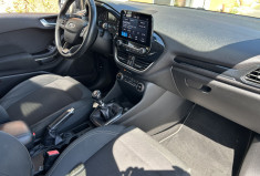 Ford Fiesta 1.0 EcoBoost 100 cv Titanium