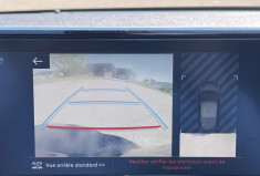 Peugeot 208  1.2 Puretech 100 GT Line / Distribution faite