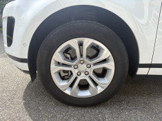 Land-Rover Range Rover Evoque  1.5 P300e 309 ch Bronze Collection AWD BVA