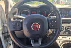 FIAT Panda  1.0 70ch hybrid City Life
