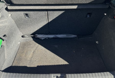 Skoda Kamiq  1.0 TSI 12V GPF 116 cv Monte Carlo