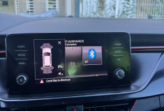 Skoda Kamiq  1.0 TSI 116cv Monte Carlo