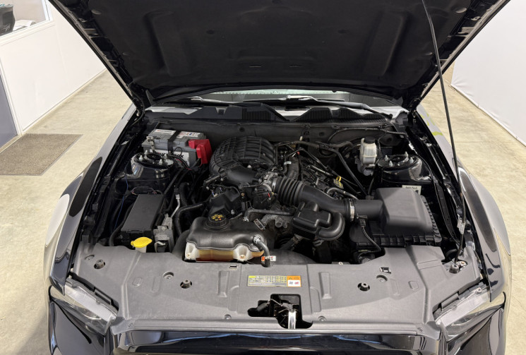 Ford MUSTANG Pony V6 3.7 305 ch