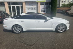 Jaguar XJ 3.0 V6 S/C Luxe Premium / ENTRETIEN OK / DISTRIBUTION OK / VIDANGE BVA OK