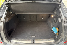 BMW X1 F48 SDRIVE 18I 136 M SPORT DKG7