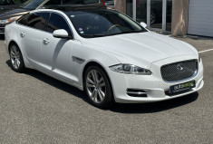 Jaguar XJ 3.0 V6 Luxe Premium / ENTRETIEN OK / DISTRIBUTION OK / VIDANGE BVA OK