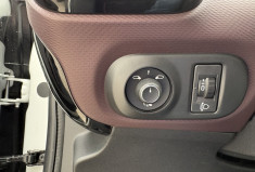 Citroën C4 CACTUS 1.2 puretech 110 cv BVA 1 ere main (entretien citroen)