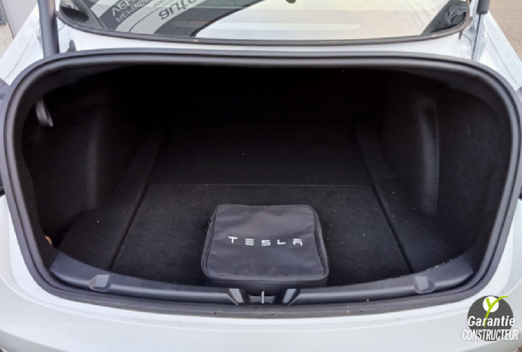 Tesla Model 3  Phase 2 Standard RWD - 1°Main - Très bon état - SOH 79% - NMC