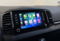 Skoda Karoq 2.0 TDI 116 DSG7 Business - Première main 