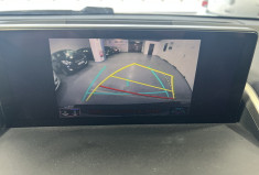 Lexus NX 300H 2.5 Hybrid 197 Business Pack / Full entretien Lexus / Caméra de recul