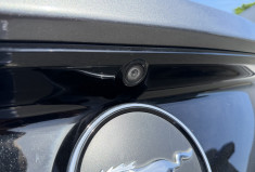 Ford MUSTANG 2.3 EcoBoost 317Ch BVA - SUIVI FORD - IMMATRICULEE EN FRANCE