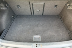 Volkswagen Golf 1.4 TSI 125 cv  LOUNGE Blue Motion