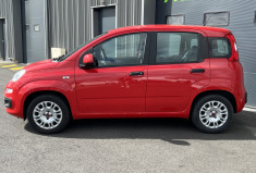 FIAT Panda 1.2 69 cv Lounge / Distribution neuve 