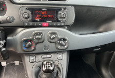 FIAT Panda 1.2 69 cv Lounge / Distribution neuve 