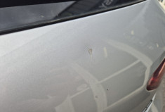 SEAT Leon 1.6 TDI 110ch Style Business Kit distribution récent