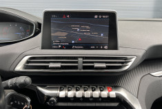Peugeot 3008 1.6 BlueHDi S&S 120 cv BUSINESS
