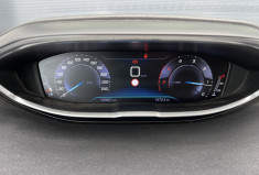 Peugeot 3008 1.6 BlueHDi S&S 120 cv BUSINESS