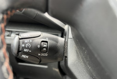Peugeot 3008 1.6 BlueHDi S&S 120 cv BUSINESS