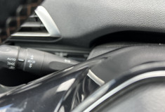 Peugeot 3008 1.6 BlueHDi S&S 120 cv BUSINESS