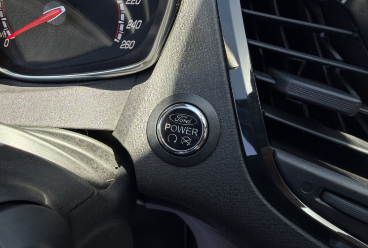 Ford Fiesta ST 1.6 EcoBoost 16V 182 cv