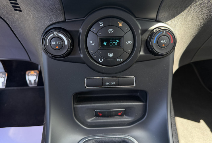 Ford Fiesta ST 1.6 EcoBoost 16V 182 cv