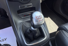 Ford Fiesta ST 1.6 EcoBoost 16V 182 cv