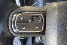 Citroën Berlingo 1.5 HDI 102 16V S&S RIP CURL / ENTRETIEN A JOUR  / TOIT PANORAMIQUE