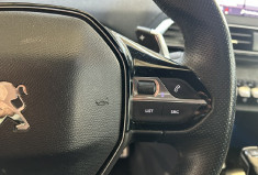 Peugeot 3008 Gt Line bva8 1.5l blue Hdi 