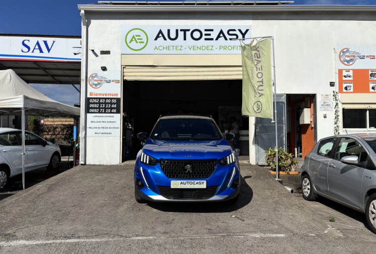 Peugeot 2008 1.5 BLUEHDI 100 GT-LINE 