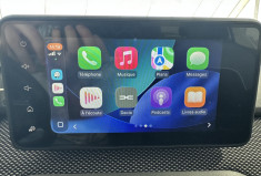 Dacia Sandero  Stepway Expression 1.0 ECO-G 100 /Suivi Dacia/Première main/CarPlay/Caméra/Toit ouv