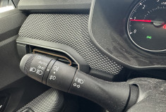 Dacia Sandero  Stepway Expression 1.0 ECO-G 100 /Suivi Dacia/Première main/CarPlay/Caméra/Toit ouv