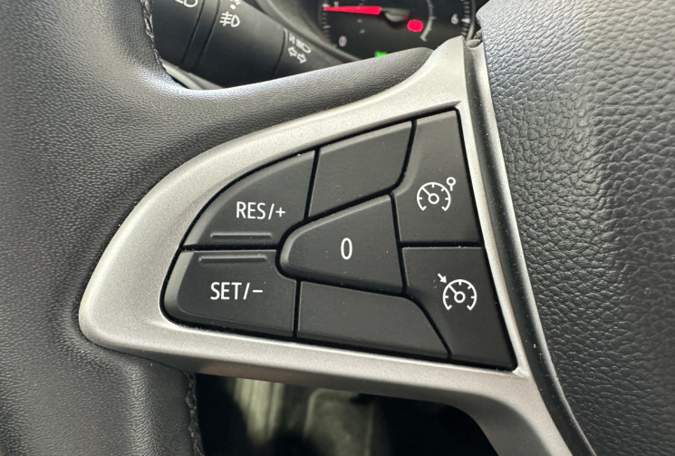 Dacia Sandero  Stepway Expression 1.0 ECO-G 100 /Suivi Dacia/Première main/CarPlay/Caméra/Toit ouv