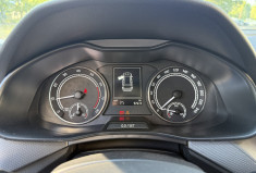Skoda Kamiq 1.0 TSI 110 Ambition