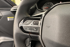Peugeot 208 1.5 Blue HDi S&S 100 cv BVM6 ALLURE