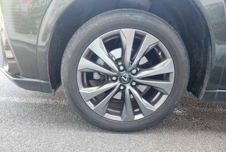 Lexus UX 250h 2WD F SPORT
