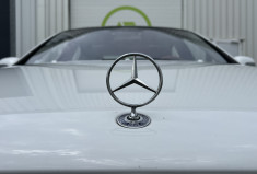 Mercedes CLASSE S 600 V12 5.8i 367cv BVA * Full Option * Faible Kilométrage * W220