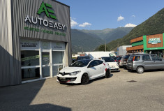 Renault Megane III (2) RS 275 - chassis cup
