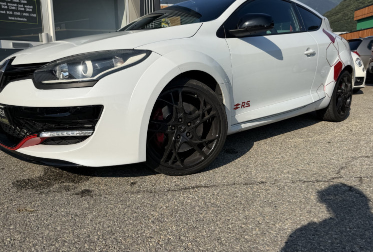 Renault Megane III (2) RS 275 - chassis cup
