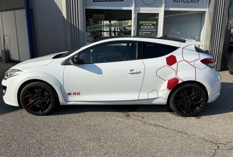 Renault Megane III (2) RS 275 - chassis cup
