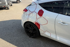 Renault Megane III (2) RS 275 - chassis cup
